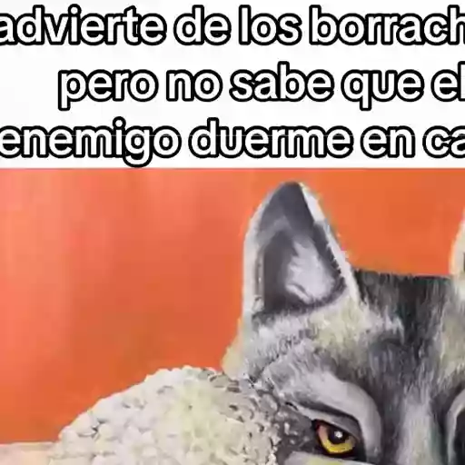 Sticker animado de WhatsApp de Memes